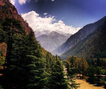 Jibhi -Trithan Valley Tour Package
